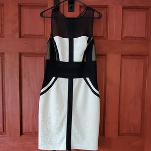 Size 6 Cache Black and White dress.